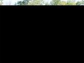 Thumbnail of 2024 Blue Crush Metallic/Jet Black Toyota Corolla Hybrid