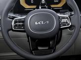Thumbnail of 2025 Panthera Metal Kia Sorento