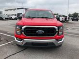 Thumbnail of 2023 RACE RED Ford F-150