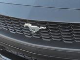 Thumbnail of 2024 Shadow Black Ford Mustang