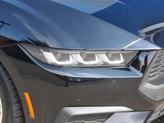 Thumbnail of 2024 Shadow Black Ford Mustang