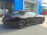 Thumbnail of 2024 Shadow Black Ford Mustang