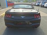 Thumbnail of 2024 Shadow Black Ford Mustang