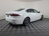Thumbnail of 2024 Fuji White Jaguar XF