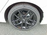 Thumbnail of 2026 Platinum White Pearl Honda Civic