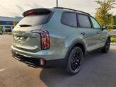 Thumbnail of 2025 Jungle Green Kia Telluride