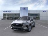 Thumbnail of 2025 Carbonized Gray Metallic Ford Escape