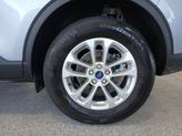 Thumbnail of 2022 Blue Ford Escape