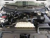 Thumbnail of 2023 Oxford White Ford F-150