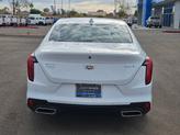 Thumbnail of 2021 Summit White Cadillac CT4