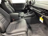 Thumbnail of 2026 Platinum White Pearl Honda CR-V