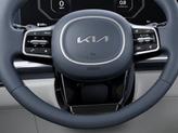 Thumbnail of 2026 Panthera Metal Kia Carnival