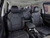 Thumbnail of 2025 Ebony Kia Telluride