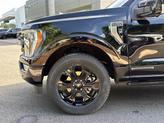 Thumbnail of 2023 Agate Black Metallic Ford F-150