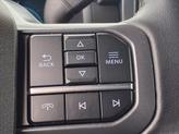 Thumbnail of 2024 Gray Metallic Ford F-150