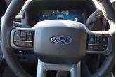Thumbnail of 2025 Carbonized Gray Metallic Ford F-150