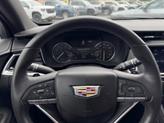 Thumbnail of 2023 Crystal White Tri-Coat Cadillac XT6