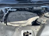 Thumbnail of 2021 Platinum White Pearl Honda Passport