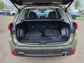 Thumbnail of 2024 Autumn Green Metallic Subaru Forester
