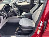 Thumbnail of 2023 Rapid Red Metallic Tinted Clearcoat Ford Escape