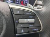 Thumbnail of 2020 Himalayan Gray Genesis G70