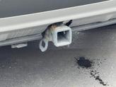Thumbnail of 2023 Oxford White Ford Edge