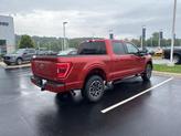 Thumbnail of 2023 Hot Pepper Red Metallic Tinted Clearcoat Ford F-150