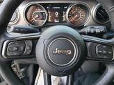 Thumbnail of 2019 Black Clearcoat Jeep Wrangler