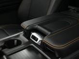 Thumbnail of 2025 Wild Green Ford Expedition