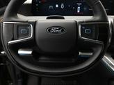 Thumbnail of 2025 Wild Green Ford Expedition