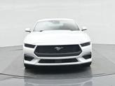 Thumbnail of 2025 Oxford White Ford Mustang