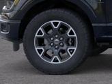 Thumbnail of 2025 Black Metallic Ford F-150