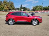 Thumbnail of 2025 Rapid Red Metallic Tinted Clearcoat Ford Escape