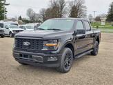 Thumbnail of 2025 Black Metallic Ford F-150