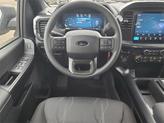 Thumbnail of 2025 Black Metallic Ford F-150