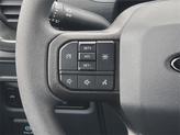 Thumbnail of 2025 Black Metallic Ford F-150