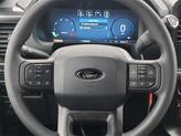 Thumbnail of 2025 Black Metallic Ford F-150