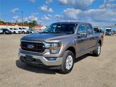 Thumbnail of 2023 Stone Gray Metallic Ford F-150