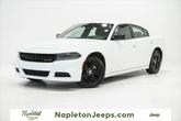 Photo of 2023 White Knuckle Clearcoat Dodge Charger
