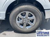 Thumbnail of 2025 White Ford F-150