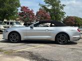 Thumbnail of 2019 Ingot Silver Metallic Ford Mustang