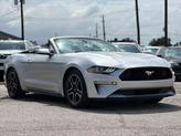 Thumbnail of 2019 Ingot Silver Metallic Ford Mustang