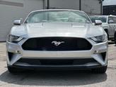 Thumbnail of 2019 Ingot Silver Metallic Ford Mustang