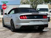 Thumbnail of 2019 Ingot Silver Metallic Ford Mustang