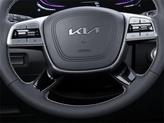 Thumbnail of 2025 Panthera Metal Kia Telluride