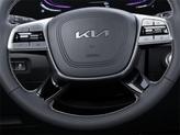 Thumbnail of 2025 Gray Kia Telluride