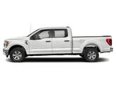 Thumbnail of 2023 Oxford White Ford F-150