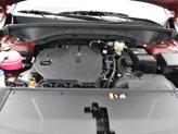 Thumbnail of 2025 Red Kia Sorento