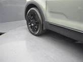Thumbnail of 2025 Jungle Green Kia Telluride