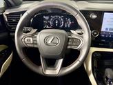 Thumbnail of 2024 Grecian Water Lexus NX 250